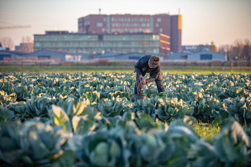 Regio Foodvalley: Voedingsbodem Voor Innovatie En Samenwerking ...